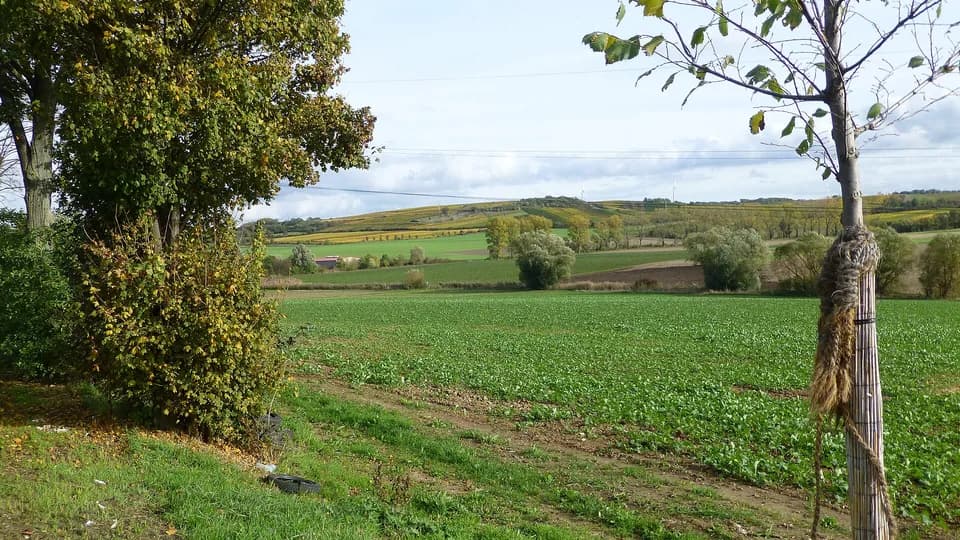 Alzey-Worms Region – Stadtansicht