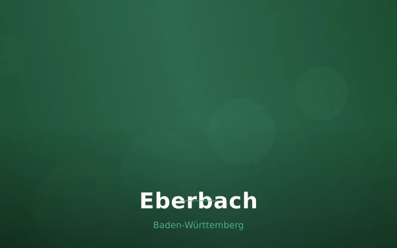 Eberbach – Stadtansicht Baden-Württemberg