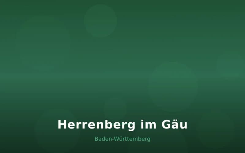 Herrenberg im Gäu – Stadtansicht Baden-Württemberg