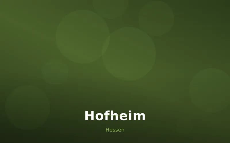 Hofheim – Stadtansicht Hessen