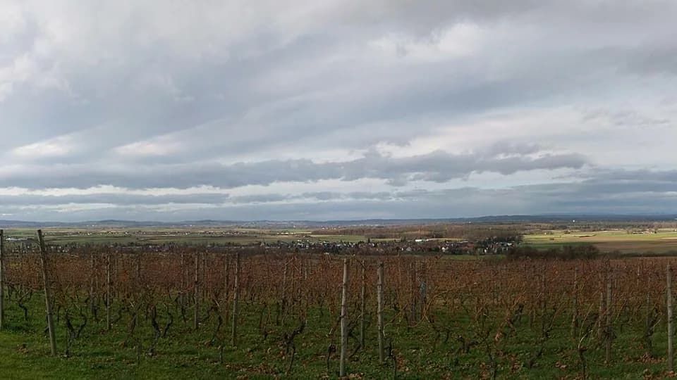 Rhein-Hunsrück Region – Stadtansicht