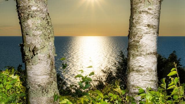 Heuschnupfen: Klima? Hatschi! in Deutschland