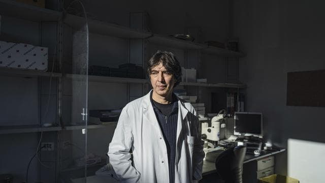 Ernährung und Lebenserwartung: »Der Proteintrend wird große gesundheitliche Probleme verursachen«