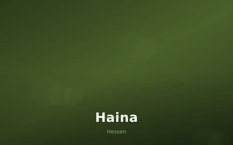 Haina – Stadtansicht Hessen