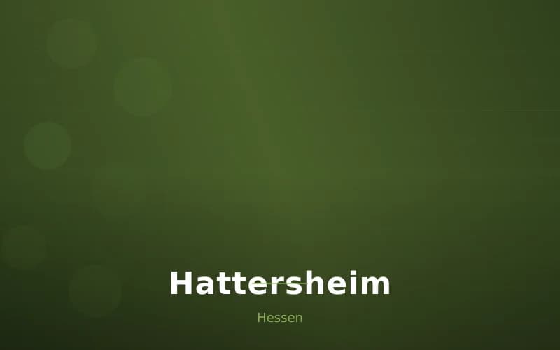 Hattersheim – Stadtansicht Hessen