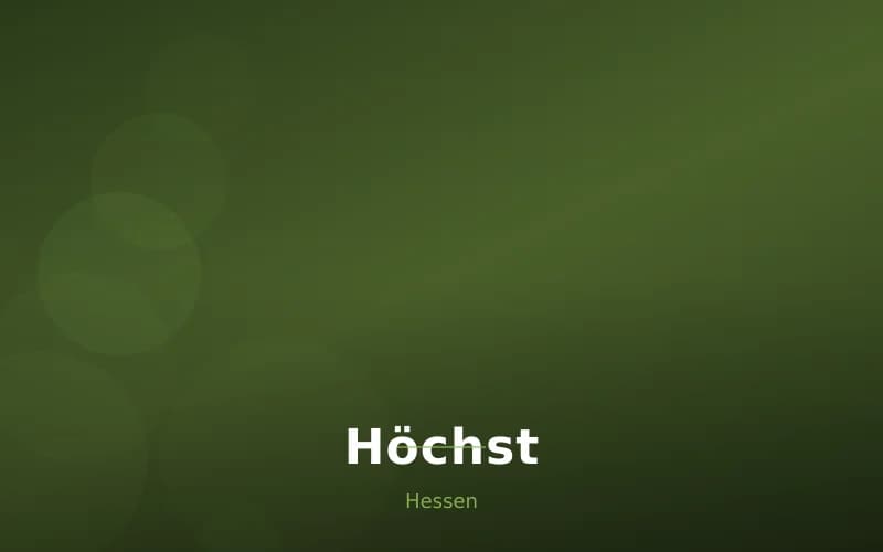 Höchst – Stadtansicht Hessen