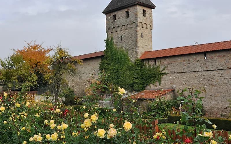 Kirchheimbolanden – Stadtansicht Rhineland-Palatinate