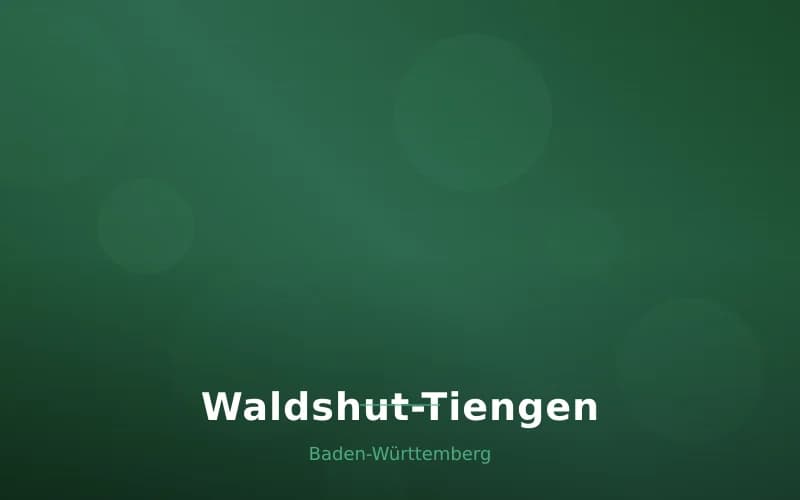 Waldshut-Tiengen – Stadtansicht Baden-Württemberg