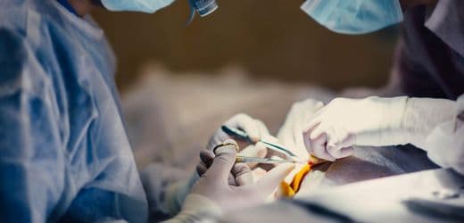 USA: Chirurg soll Milz-OP verwechselt haben – Patientin stirbt nach Eingriff